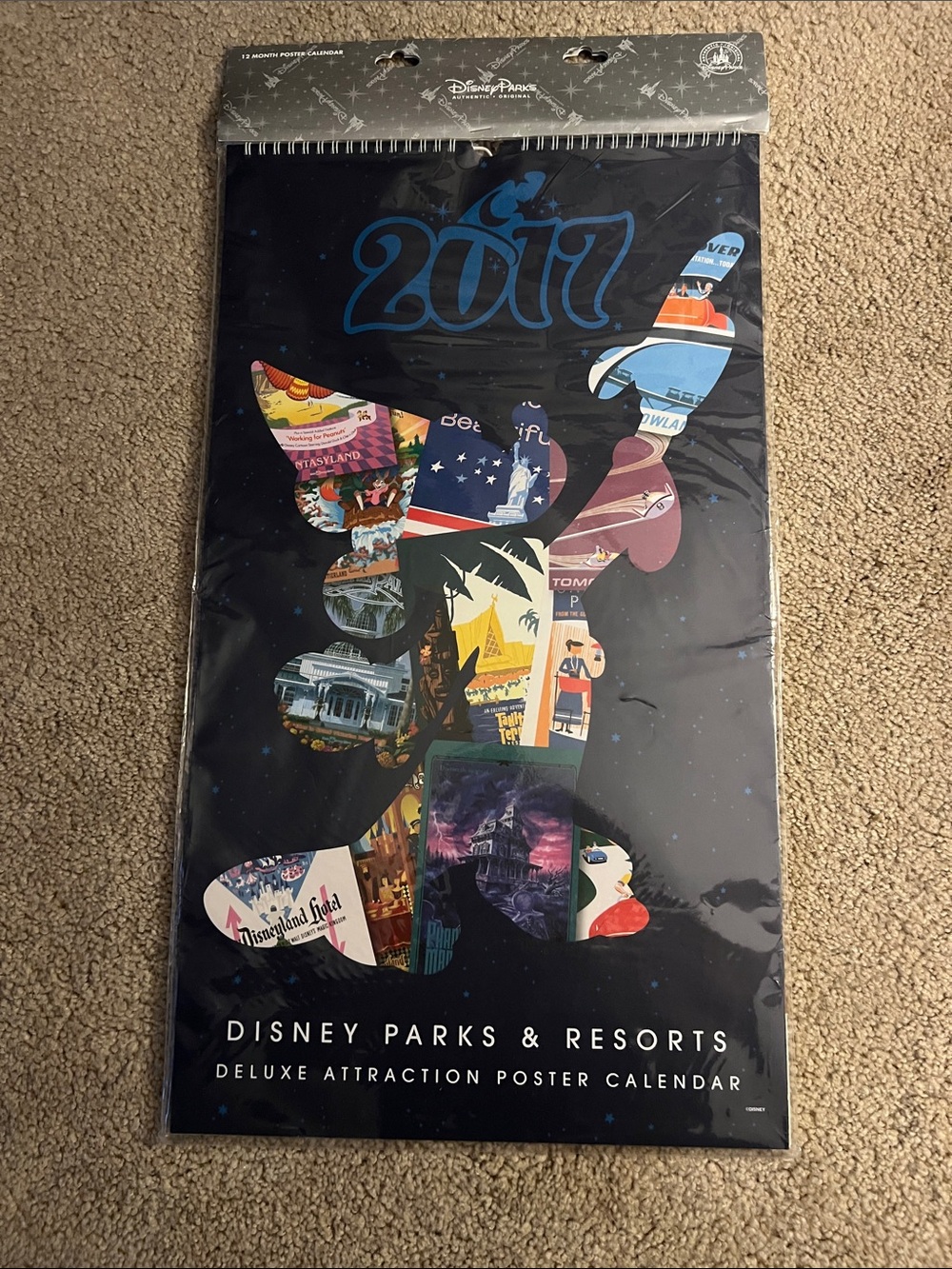 Disney Parks & Resorts Deluxe Attraction Poster Calendar 2017